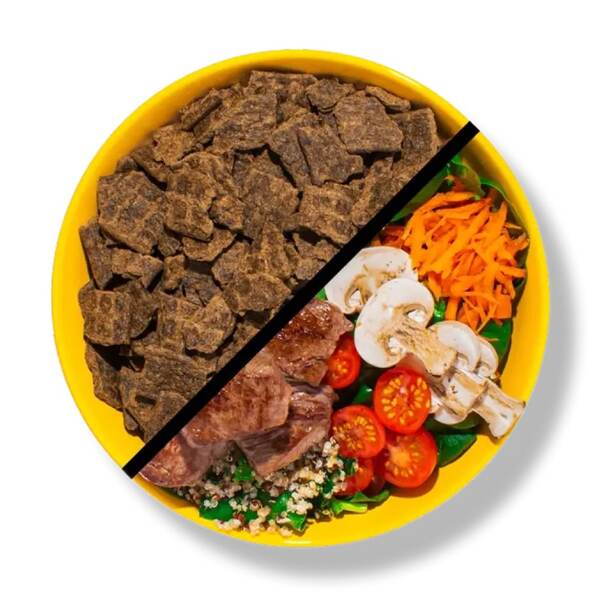 Sunday for Dogs Review: Vet-Founded, Freezer-less Fresh Food, Worth a Try?