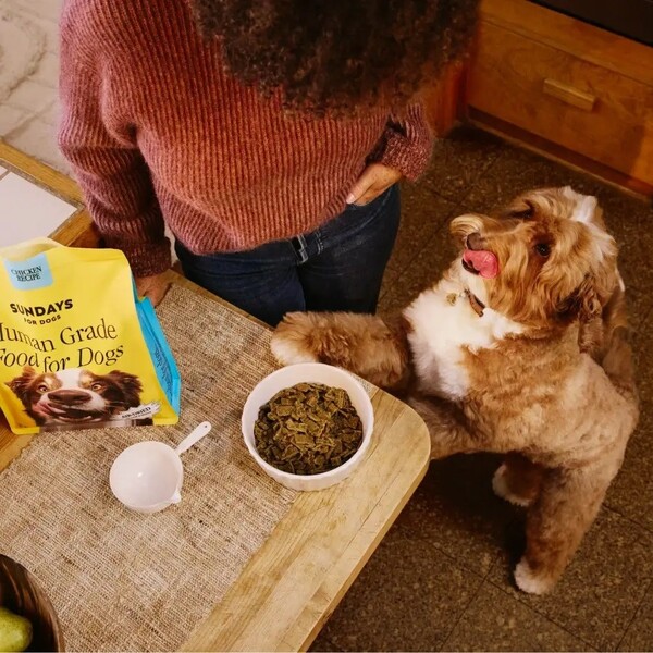 Sundays for Dogs vs Spot and Tango: Which One Feeds Better, Smarter, Easier?
