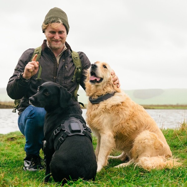 SATELLAI Review: Is It Worth the Price for Everyday Dog Owners?