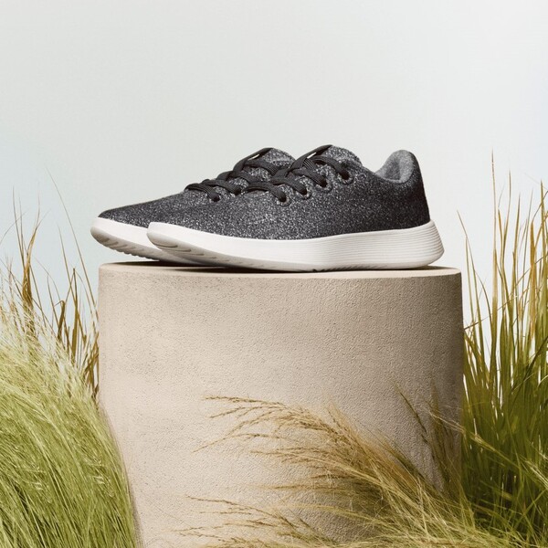 Allbirds Review: From Wool to Tree Fiber – What Makes Them Special?